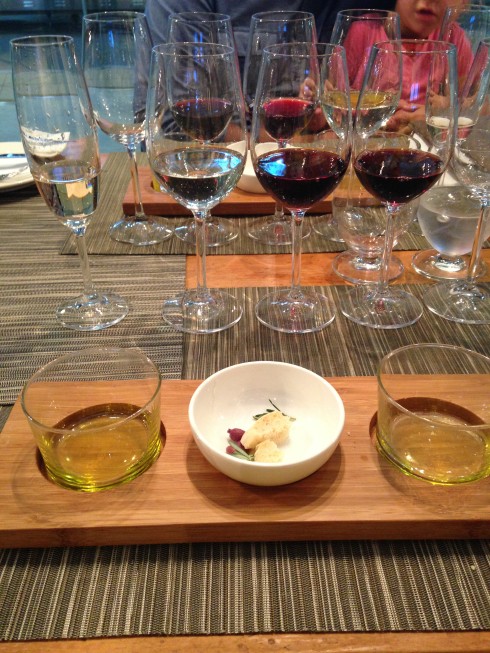 Olive oil and wine tasting at Terra del Capo.