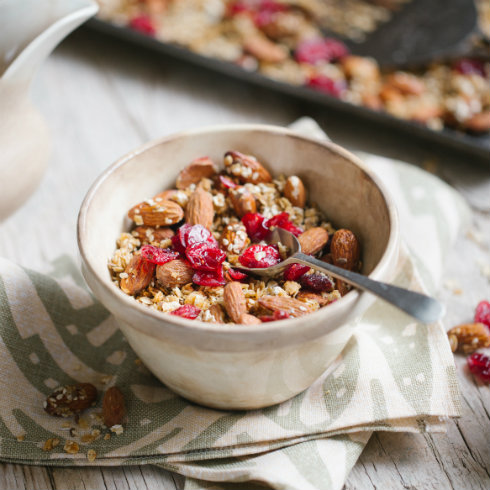Freshly toasted granola with cranberries (photography by Tasha Seccombe)