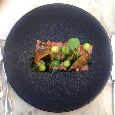 Trout ceviche, melon, sea lettuce - served with Thelema Verdelho 2015