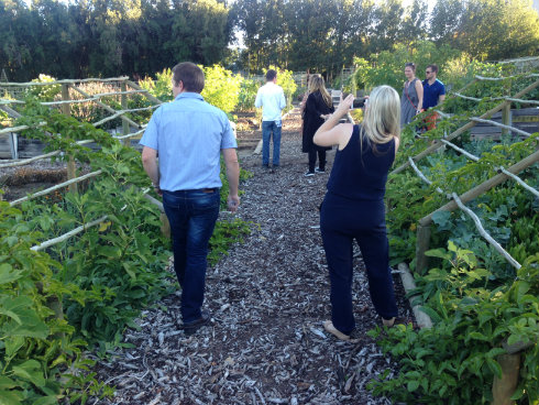 Taking a stroll through the lush gardens.