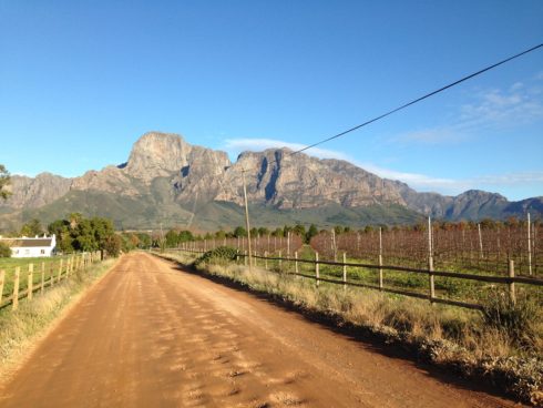 One of the roads on the working farm side of Boschendal Farm. Magnificent scenery.