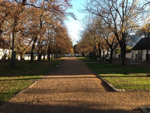 The beautiful centre of Boschendal, surrounded by the Werf Restaurant, the deli, farm shop, butchery and manor house.