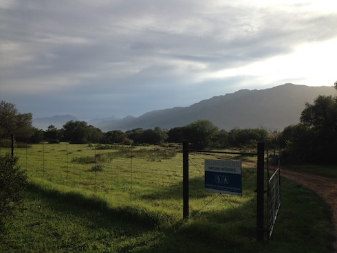 An early morning game drive. This is the entrance to the Elandsberg Nature Reserve.